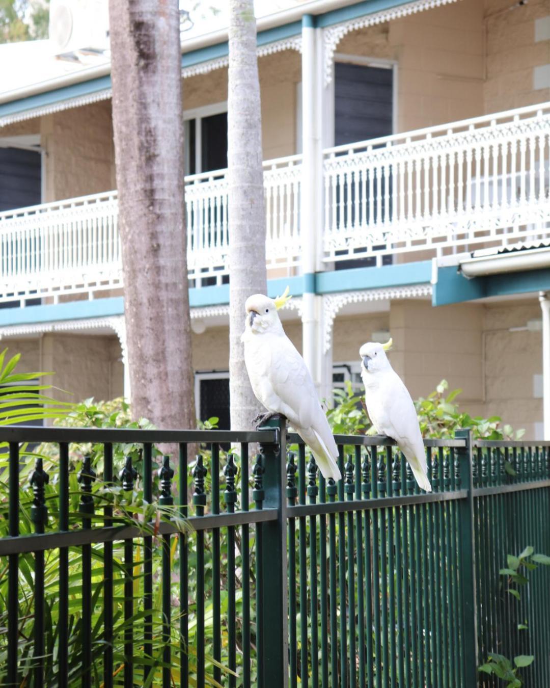 Colonial Palms Motor Inn Ерлі-Біч Екстер'єр фото