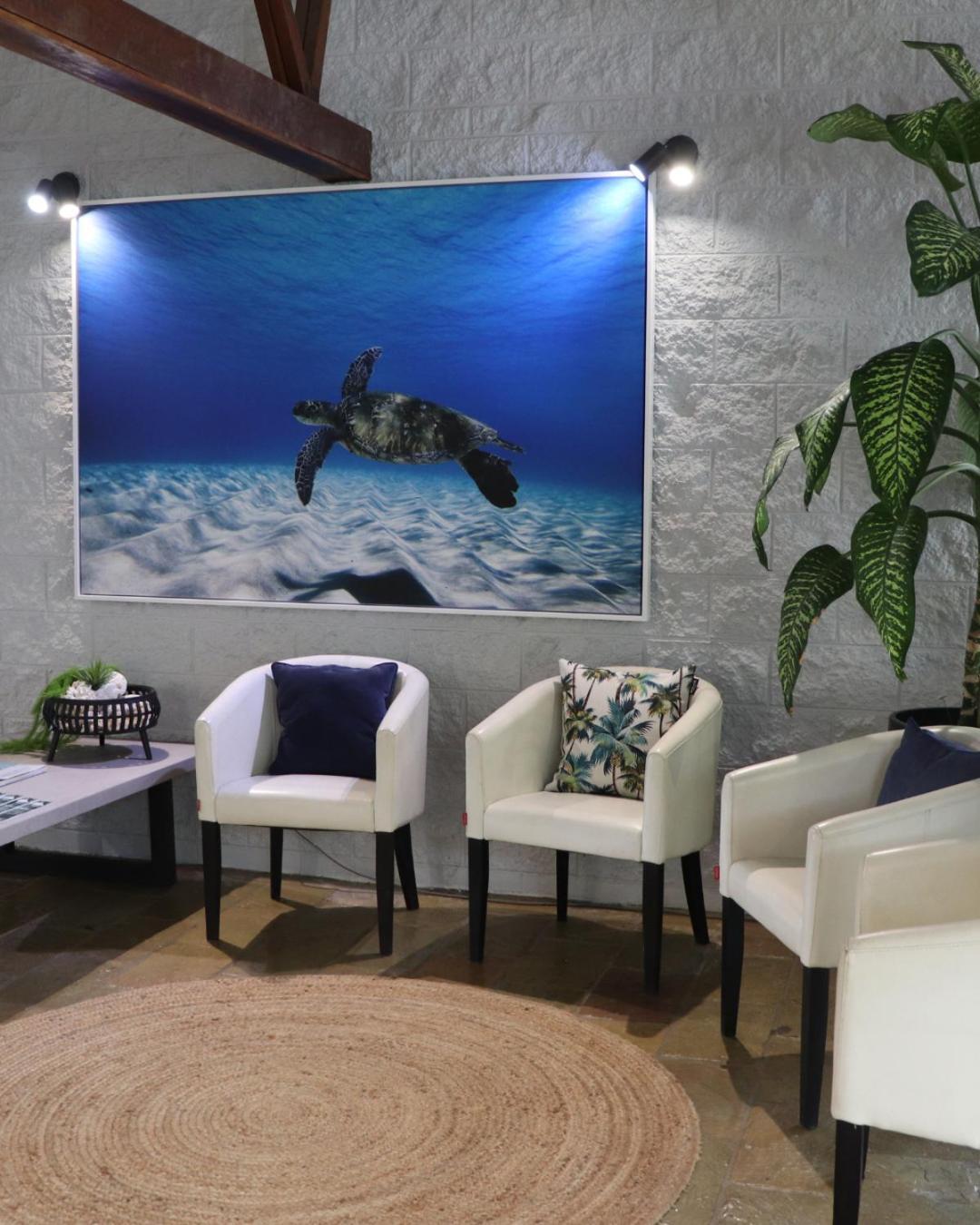 Colonial Palms Motor Inn Ерлі-Біч Екстер'єр фото
